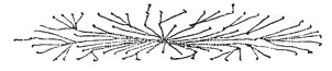 _DESCRIPTION_